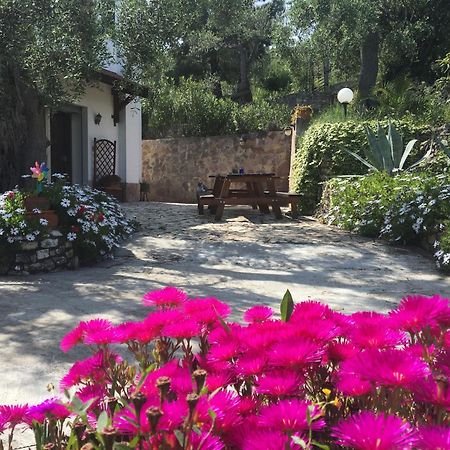 Azienda Agricola B&B Macchiaria Vieste Ngoại thất bức ảnh