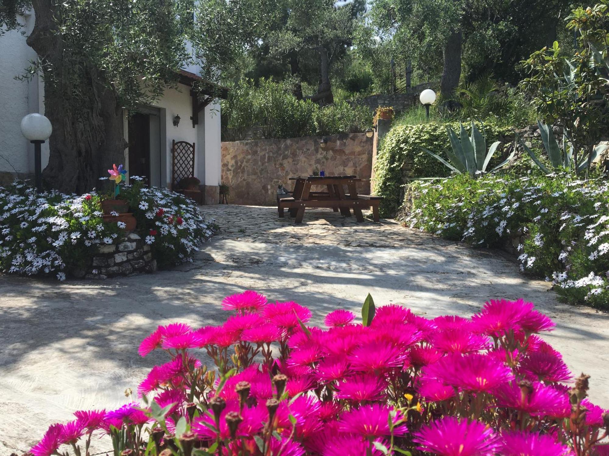 Azienda Agricola B&B Macchiaria Vieste Ngoại thất bức ảnh